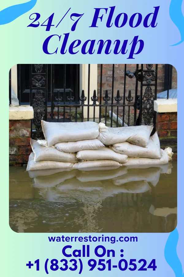 24/7 Flood Cleanup in Paris, TN