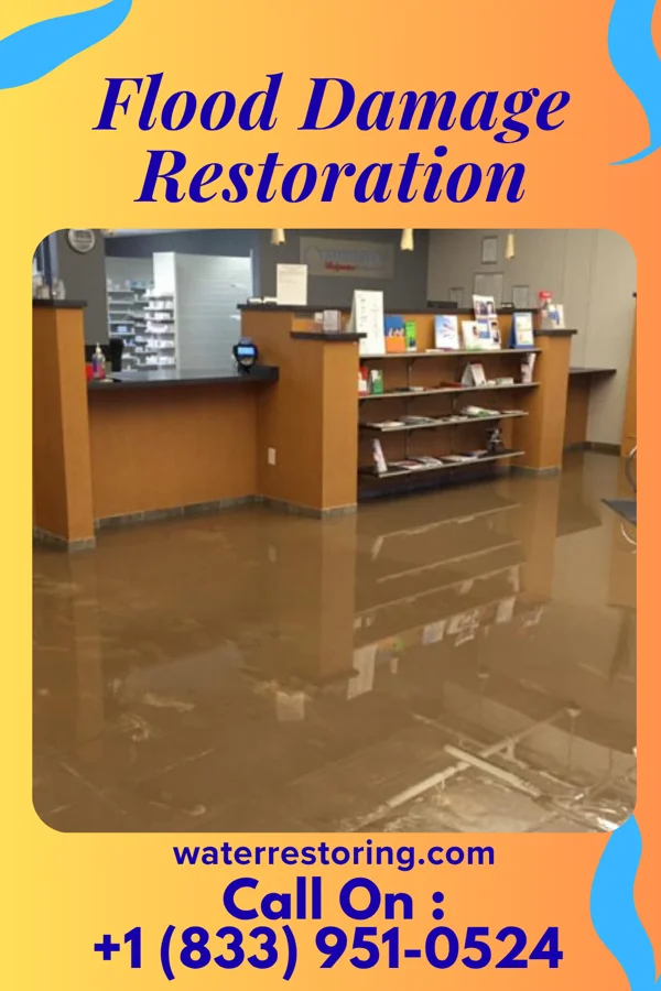 Flood Damage Restoration in Paris, TN