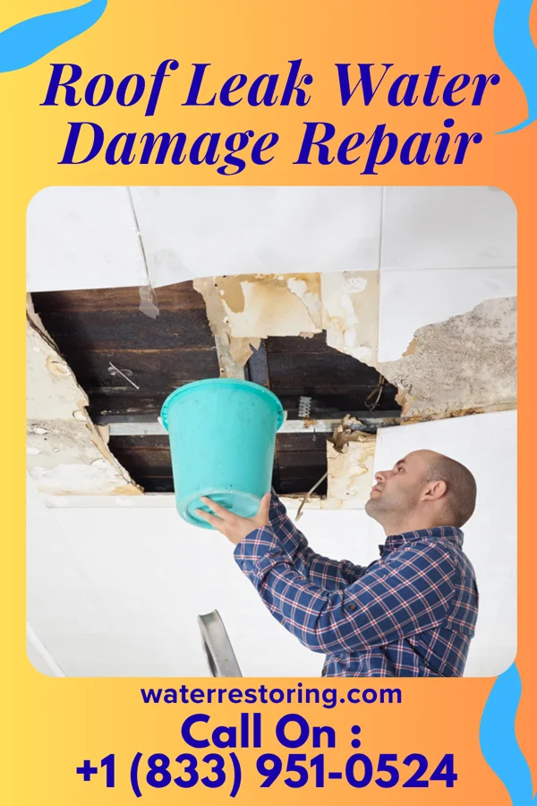 Roof Leak Water Damage Repair in Paris, TN