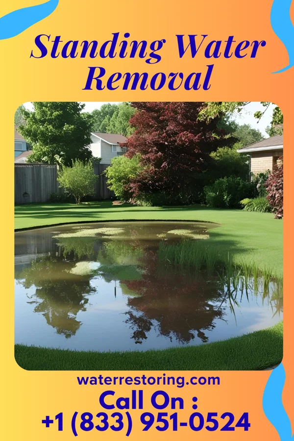 Standing Water Removal in Paris, TN